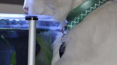 Exploring Emotional Discoveries