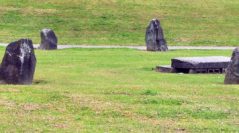 Ask What, Instead of Why