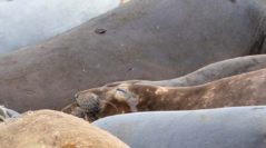 Identity: Our Biggest Liability