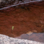 Cosmic Enemas and Emotional Blenders – A Look at Dark Nights