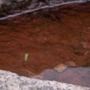 Cosmic Enemas and Emotional Blenders – A Look at Dark Nights