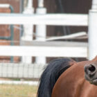 Relationship with Money