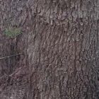 Emotions are our Allies