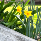 Boundaries are the Rules of Engagement