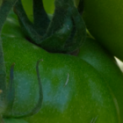 Unity: Not What We Think